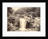 Jesmond Dene Waterfall by Unknown