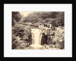 Jesmond Dene Waterfall by Unknown
