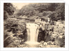 Jesmond Dene Waterfall by Unknown