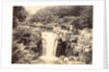 Jesmond Dene Waterfall by Unknown