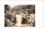 Jesmond Dene Waterfall by Unknown