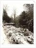 Jesmond Dene in Snow by Unknown