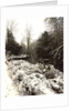 Jesmond Dene in Snow by Unknown