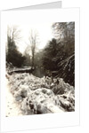 Jesmond Dene in Snow by Unknown