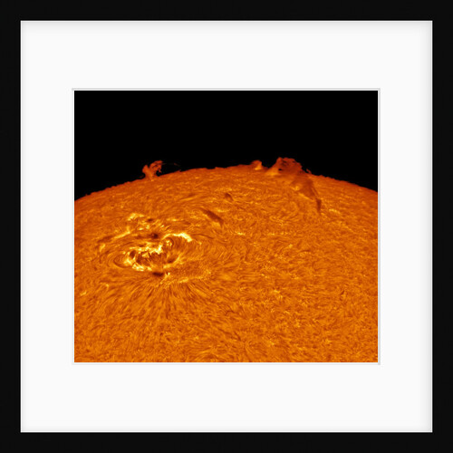 Ripples in a Pond by Alexandra Hart