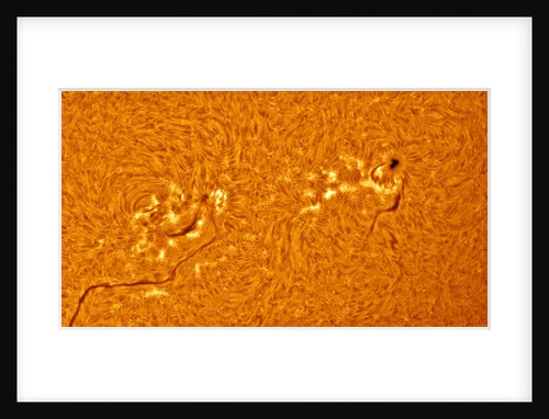 Solar Nexus by Alexandra Hart