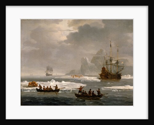 A bear hunt in the Arctic by Wigerus Vitringa