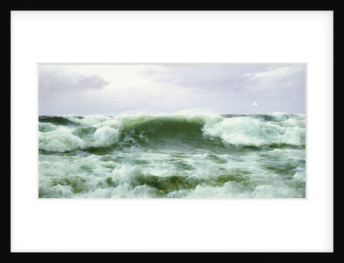 Blown on the Wind by David James