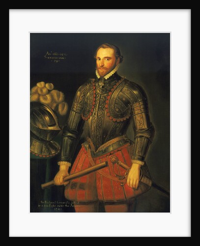 Sir Richard Grenville (1541?-1591) by British School