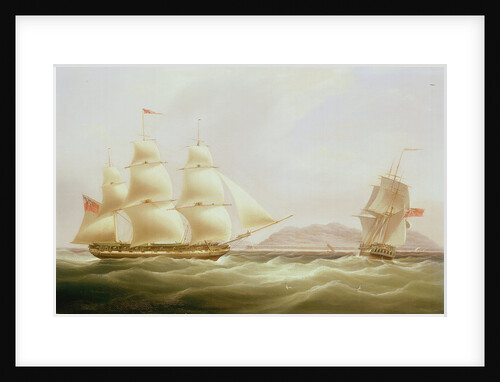 The ships 'Vigilant' and 'Harpooner' offshore by William John Huggins