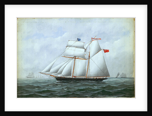 The schooner 'Little Beauty' by W. Pearn
