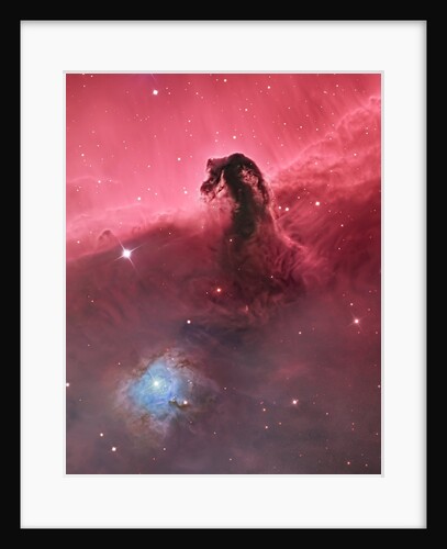 Horsehead Nebula (IC434) by Bill Snyder