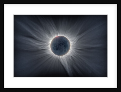 Sun Flower - Corona by Catalin Beldea; Alson Wong