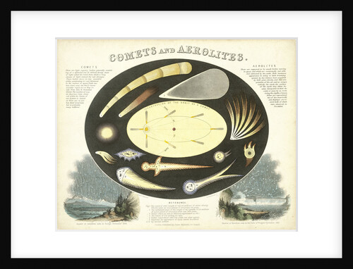 Constellation card, Urania's mirror by Sidney Hall