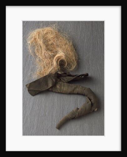 Nelson's pigtail by unknown