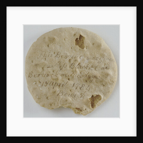 Ship's biscuit by unknown