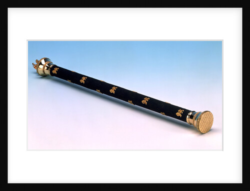 Admiral of the Fleet's baton by John Northam