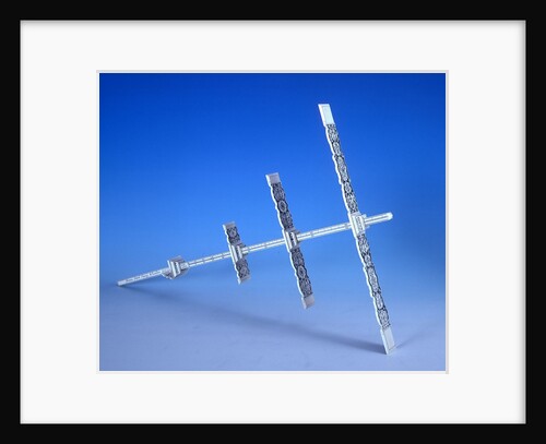Cross-staff by Thomas Tuttell