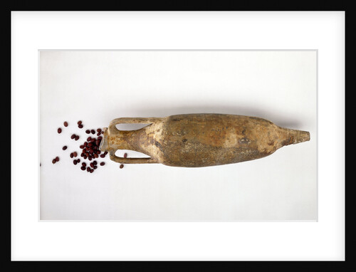 Amphora by unknown