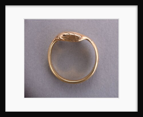 Nelson's betrothal ring by unknown