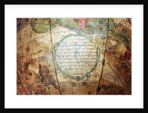 Inscription below Cetus by Georg Christoph Eimmart