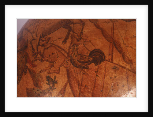 Canis Major by Matthaeus Greuter