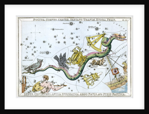 The constellation Hydra by Unknown