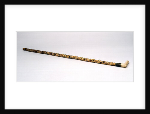 Walking stick made of shark vertebrae by unknown