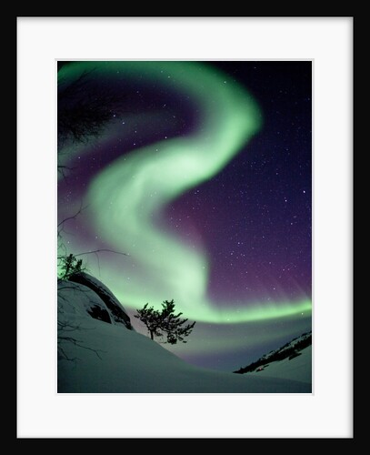 Whisper of the Wind by Dave Brosha