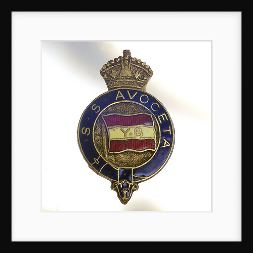 Badge by unknown