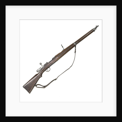 Steyr rifle by Steyr Factory