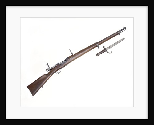 Mauser Model 1893 by unknown