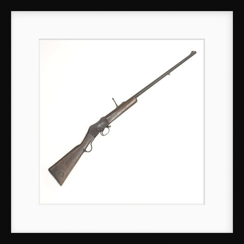 Martini rifle by W.W. Greener