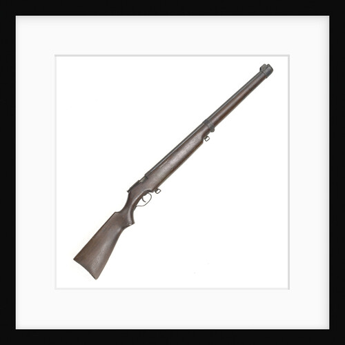 Model 82 rifle by Cooey