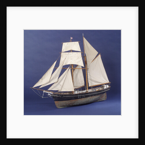 'Little Mystery', port 3/4 bow by Max T. Davey