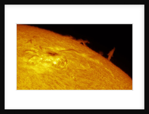 Solar Limb Prominence and Sunspot by Eric Toops