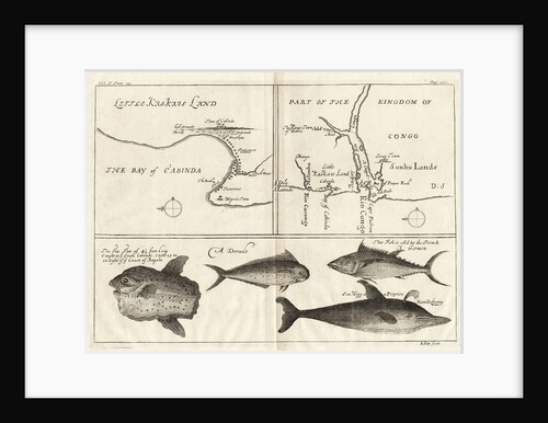 Chart of Gulf of Guinea, Africa by Gerard van Keulen