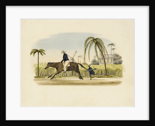 Barbados by British School