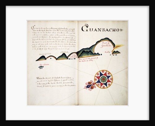 Guanbacho by William Hack