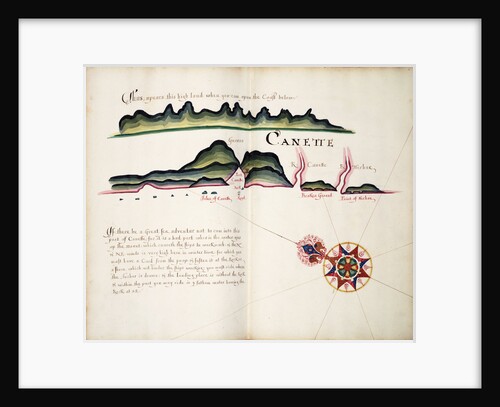 Canette by William Hack