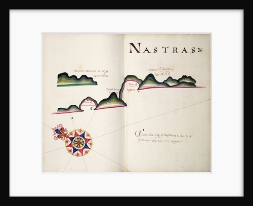 Nastras, South American Pacific coast by William Hack