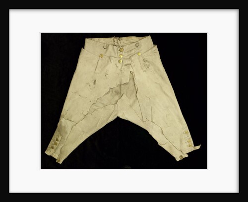 Royal Naval uniform: pattern 1795 by unknown