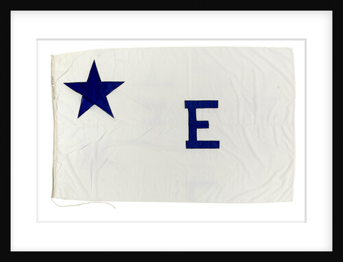 House flag, Rotterdam Steam Ship Co. by unknown