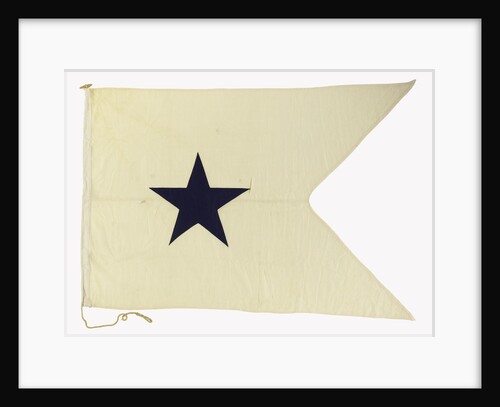 House flag, Bristol City Line of Steamships Ltd by unknown