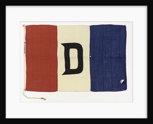 House flag, Donaldson Line Ltd by unknown