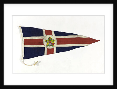 House flag, Canadian National Steamships by unknown