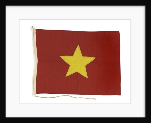 House flag, India Steamship Co. Ltd by unknown