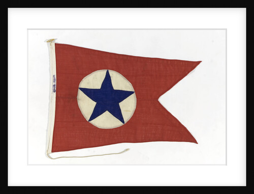 House flag, Blue Star Line Ltd by unknown