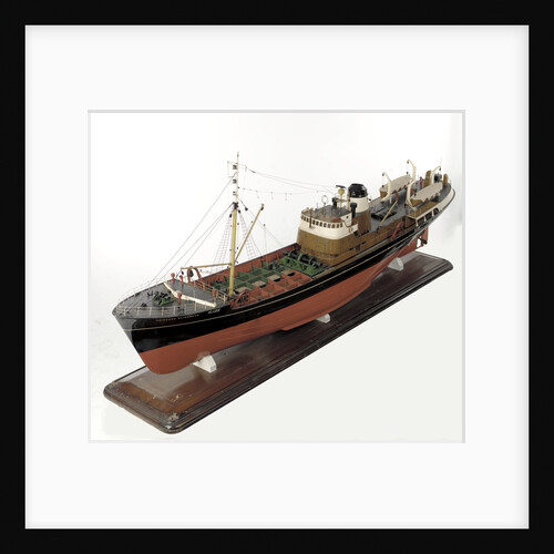 'Princess Elizabeth', port by unknown