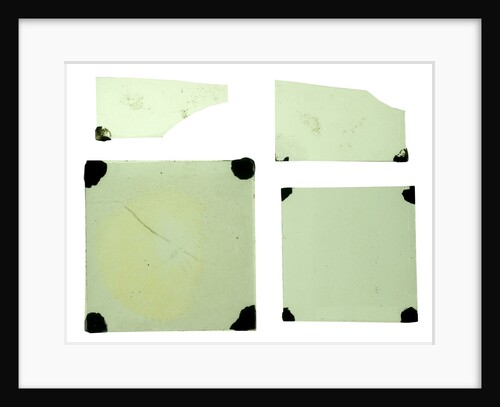 Glass slides by unknown